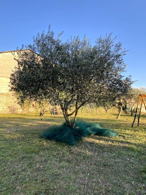 Bed and Breakfast Le Nomade En Provence Bouchet  Екстер'єр фото